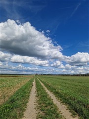 Sommerwolken 2026